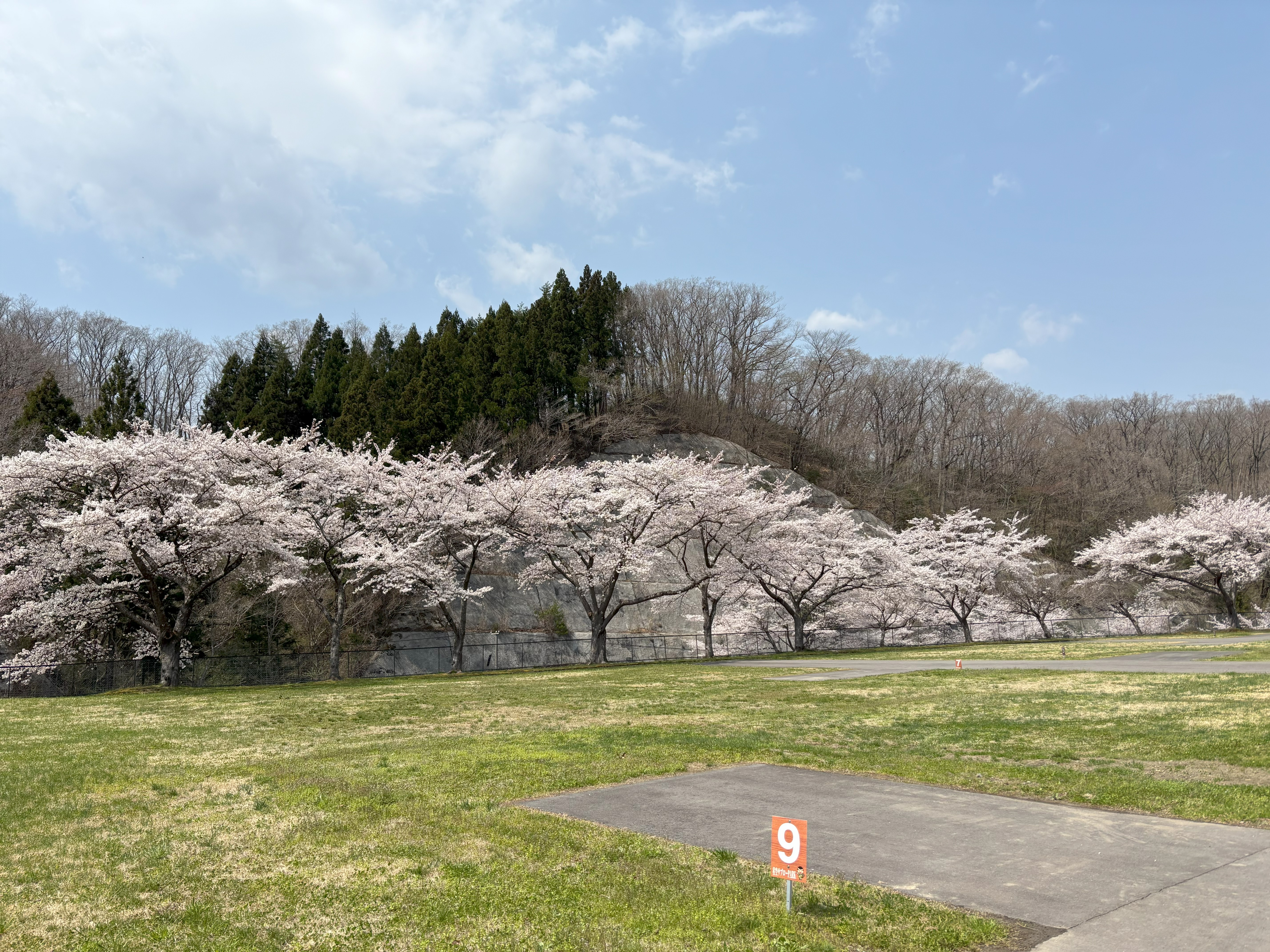 IMG_5200AC4.17
