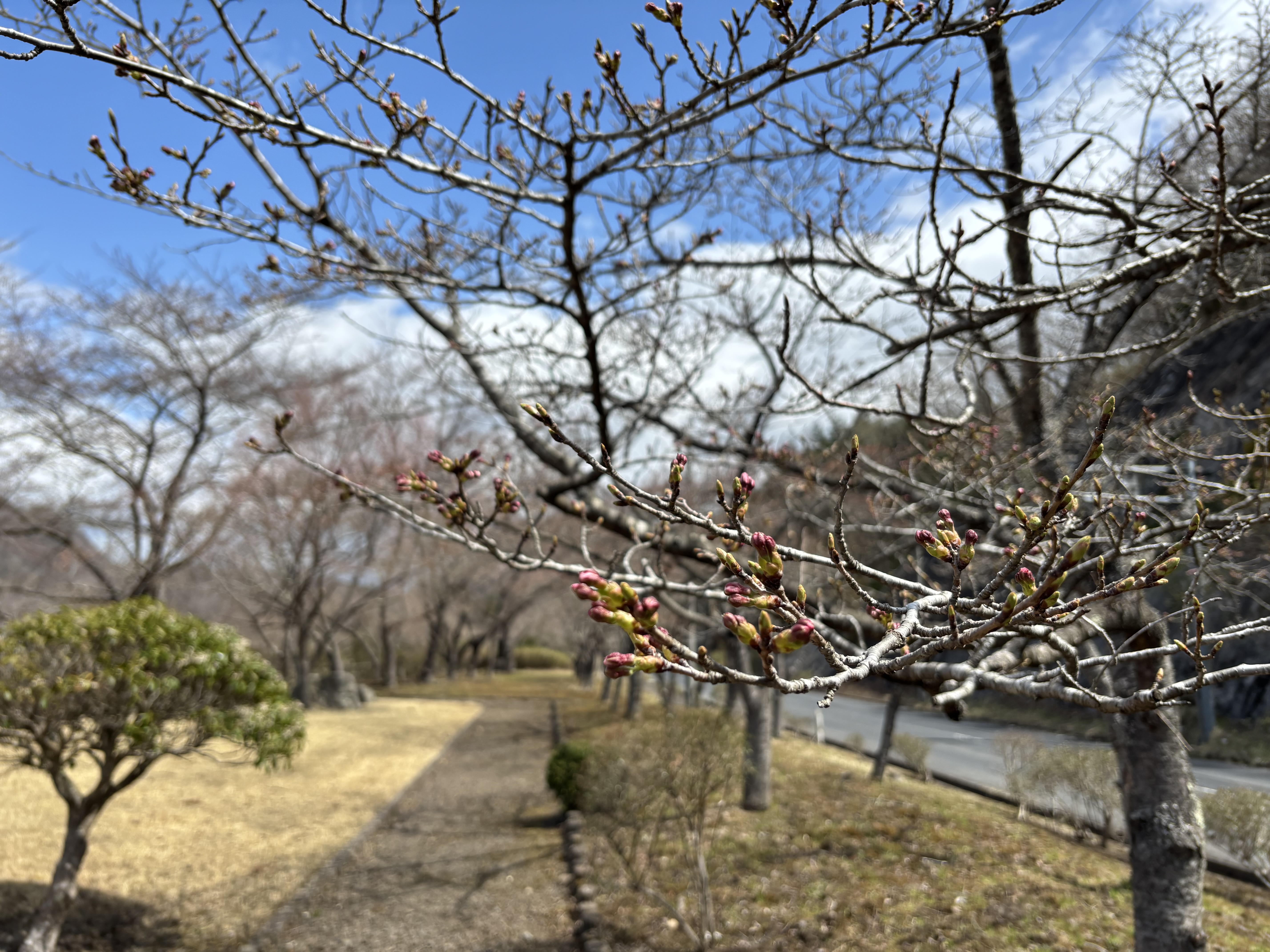 image12
