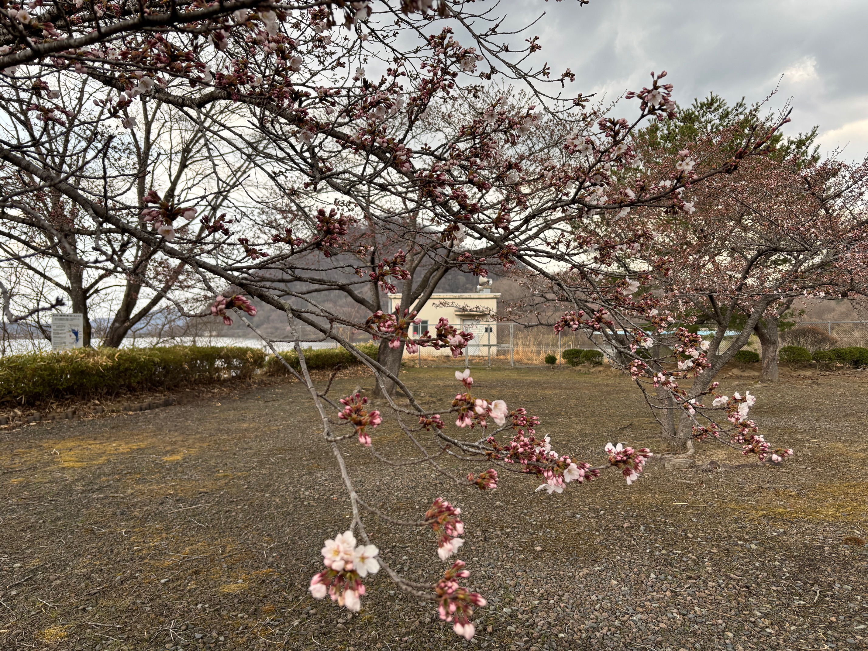 image15
